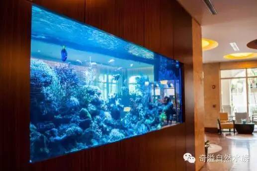 鱼缸摆放位置与属相,鱼缸的摆放位置以及风水影响