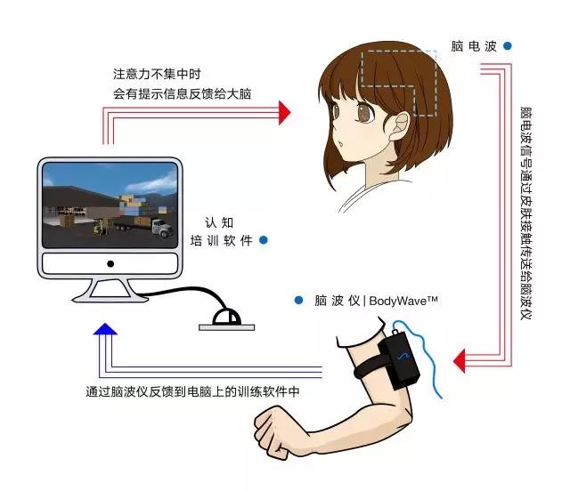 脑科学训练儿童专注力,聚思教育引入海外解决方案