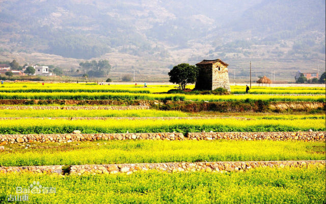 2017叨位“七桃”？看这里，拿走不谢！