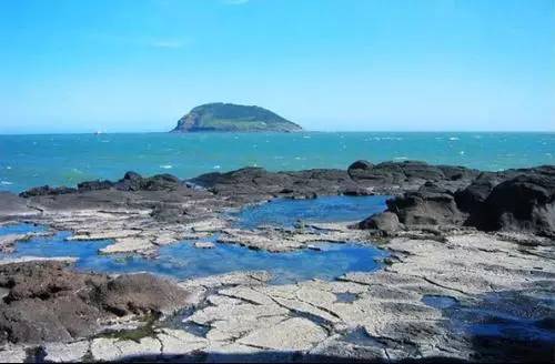 2017叨位“七桃”？看这里，拿走不谢！