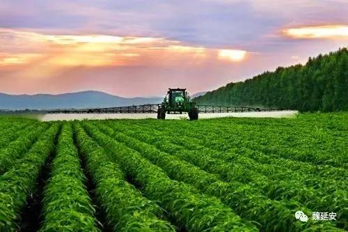 魏延安延安,魏延安发展前景