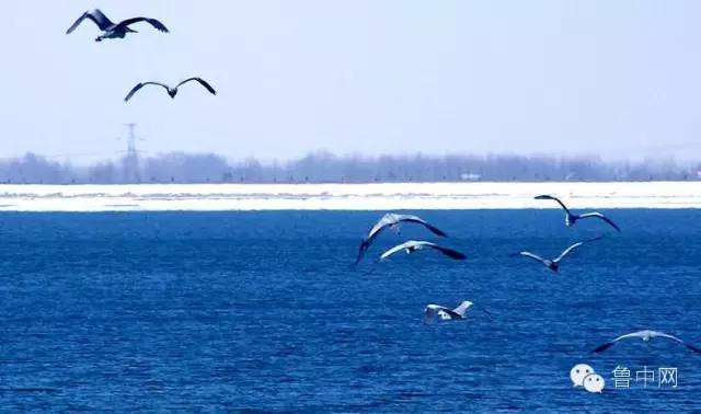淄博!山东最冤的一个市?