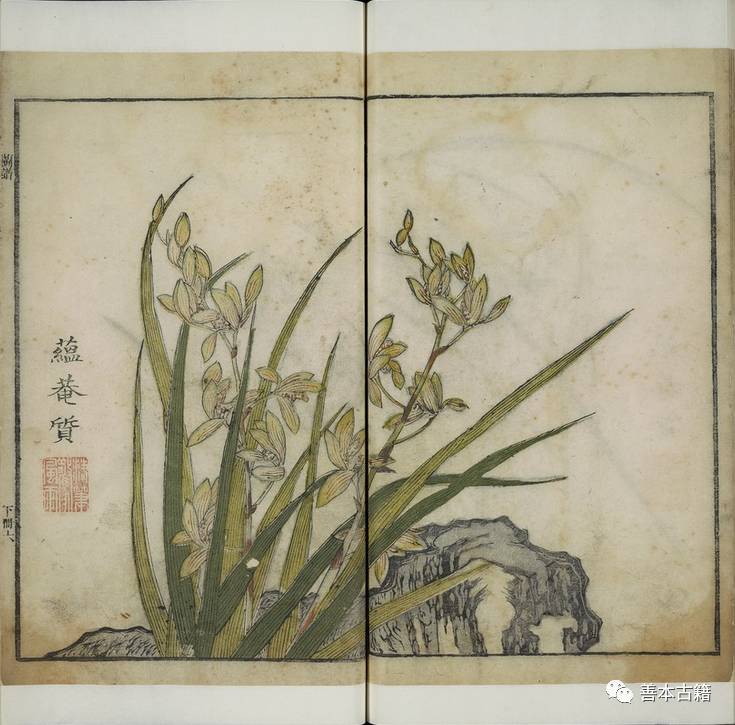 芥子园画传第一册,芥子园画传哪个版本好