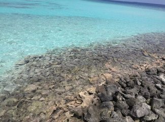 马尔代夫旅行回忆,马尔代夫经济型岛屿