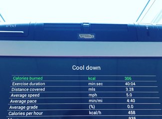 盛世公主号邮轮五日行程安排,千禧号豪华游轮图片