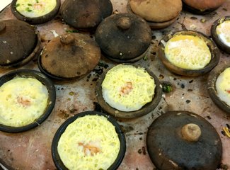 芽庄旅游亲子游成都出发,芽庄哪个岛适合亲子游