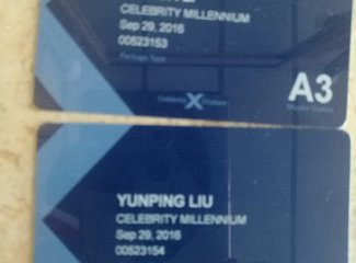 乘邮轮旅游的10大优点,乘邮轮旅行