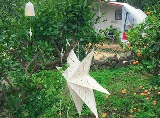 济州岛游记记录,济州岛的春天旅行日记