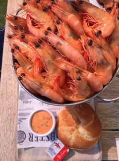 西澳珊瑚海岸3700公里自驾：卡尔巴里-猴子米娅-珊瑚湾-宁加洛珊瑚礁！