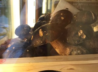 意大利好吃的餐馆,意大利好吃的美食