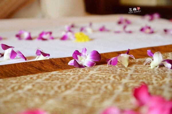 难忘蜜月结局,苏梅岛蜜月旅行