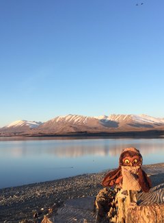 新西兰南岛11天自驾游攻略,新西兰北岛自驾游15天攻略