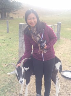 新西兰南岛11天自驾游攻略,新西兰北岛自驾游15天攻略