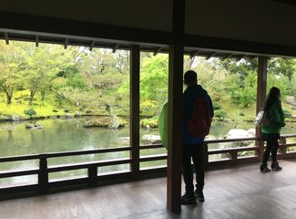 新西兰南岛顺时针逆时针,新西兰四个人游玩大概多少钱