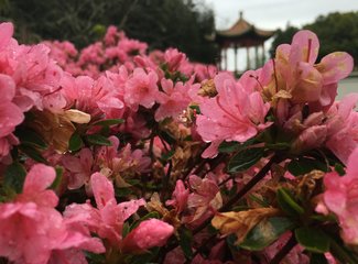 新西兰南岛顺时针逆时针,新西兰四个人游玩大概多少钱