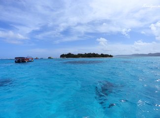 离天堂最近的地方张杰,离天堂最近的地方歌曲