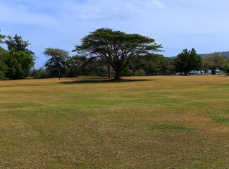 离天堂最近的地方张杰,离天堂最近的地方歌曲