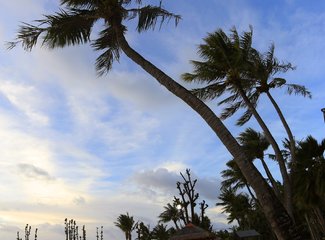 离天堂最近的地方张杰,离天堂最近的地方歌曲