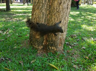 吃货的天堂推荐,吃货的天堂潮汕