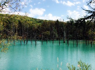2015年国庆从名古屋到札幌（F1铃鹿，池袋J-WORLD,东北盛冈，函馆夜景，青池，遗憾的富良野）