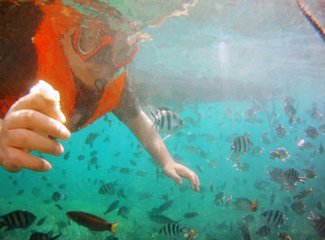 热浪岛当地旅游团,热浪岛浪中岛双岛游