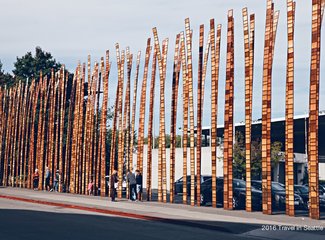 西雅图极光攻略,费尔班克斯极光旅游攻略