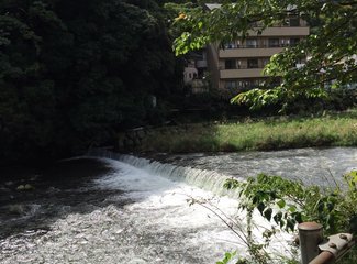 东京迪士尼购物攻略,东京箱根购物攻略