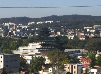 韩国吃喝玩乐旅游攻略,韩国购物攻略100例