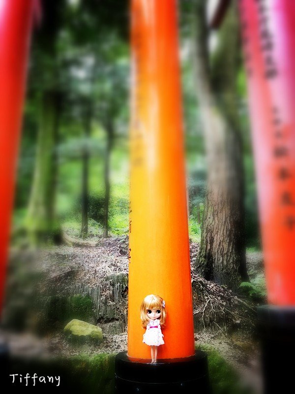 11月京都红叶游记,京都红叶两日游