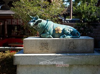 逛不尽的东瀛－二刷日本十五天