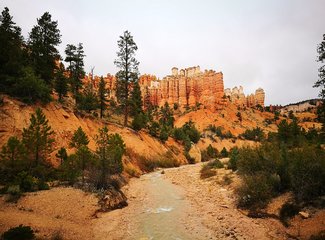 十一20日美西纵横驰骋4200m（黄石-LV-优胜美地-SF-一号公路-SD-LA