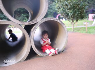 带着24个月小囡十一寸又峡寻密+东京+镰仓伊豆+横渡骏河湾观富士山+附详细交通攻略