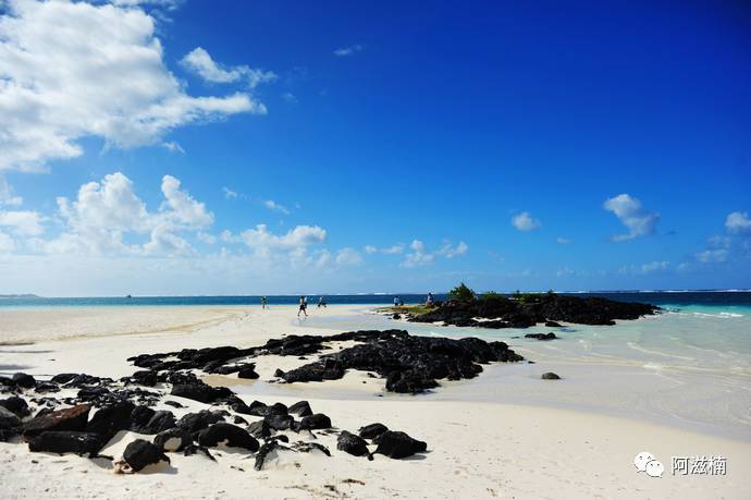 新的一年有很多事情要做,新的一年新的事