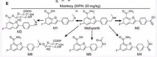 parp抑制剂综述,抗肿瘤的生物制剂都有什么