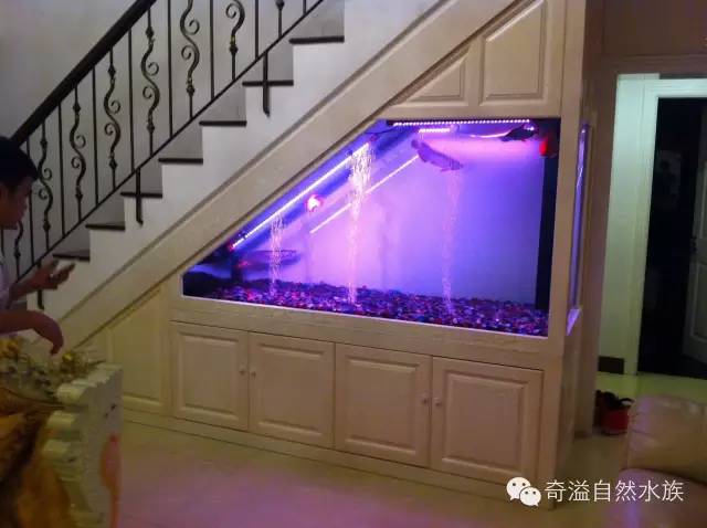 鱼缸摆放位置与属相,鱼缸的摆放位置以及风水影响