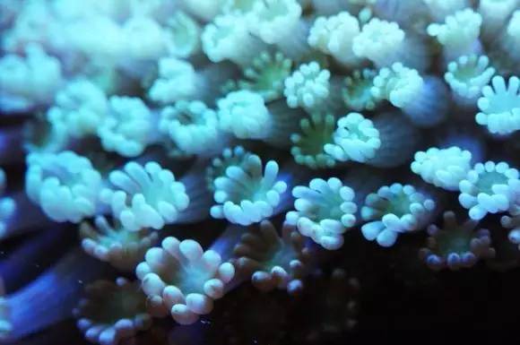 玩的真溜，三千玩出了三万的水平！