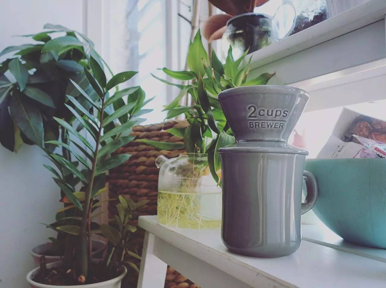 重磅|只有如此理直气壮的买买买,才配得上即将过去的2016