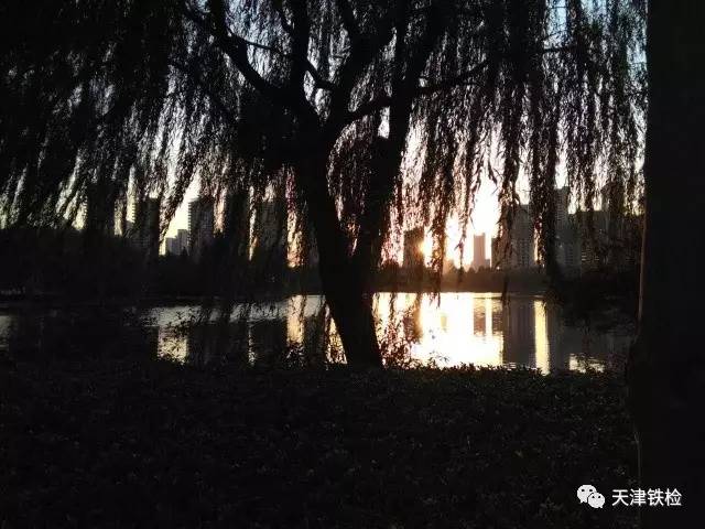 鍜岃皭鑷劧鎽勫奖浣滃搧娆h祻,鍜岃皭鑷劧鎽勫奖浣滃搧