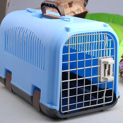 宠物狗托运需要什么,宠物狗托运过程