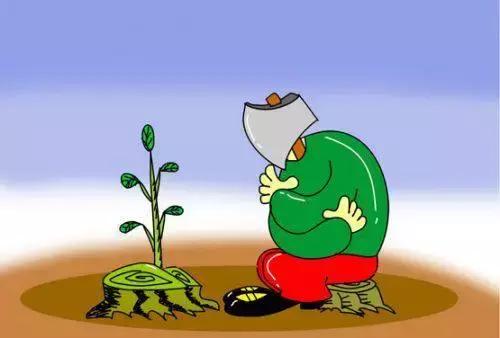 平行进口小型车合适吗 (2022年平行进口车还能买吗)