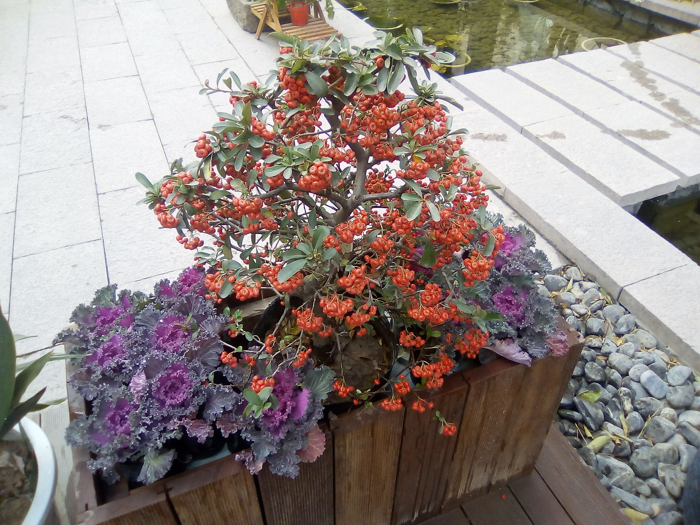 长虹S09手机怎么样,长虹s01评测