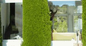 护妻狂魔李敏镐全智贤,李敏镐霸道名场面