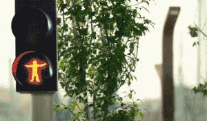 护妻狂魔李敏镐全智贤,李敏镐霸道名场面