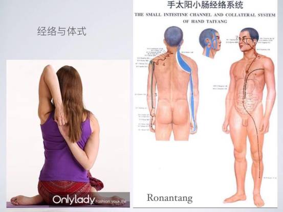 瑜伽经络十二法,唐一杰经络瑜伽
