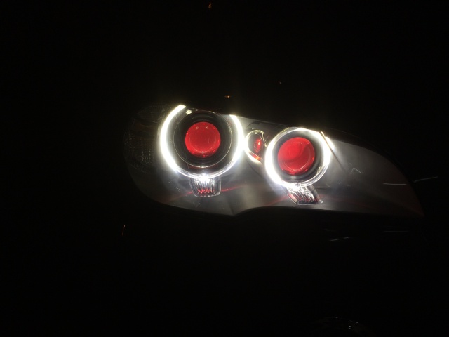 老马识途化险为夷,老马识途给我们带来了怎样的启示