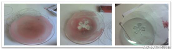 硅及其化合物有哪些,氯硫氮硅及其化合物的性质