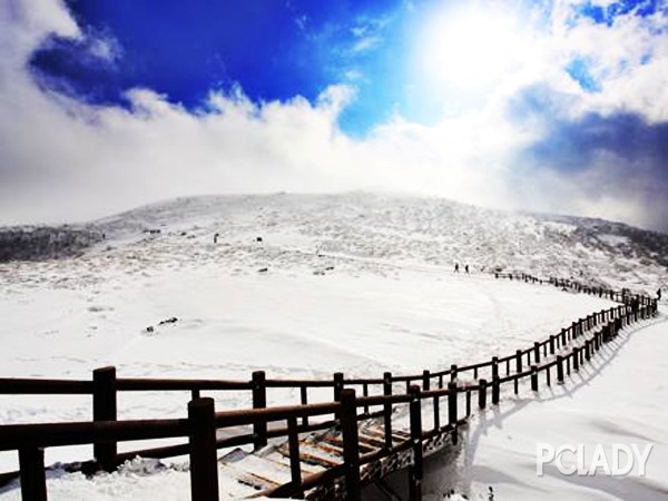 韩国买护肤品哪里便宜,济州岛购物买什么护肤品
