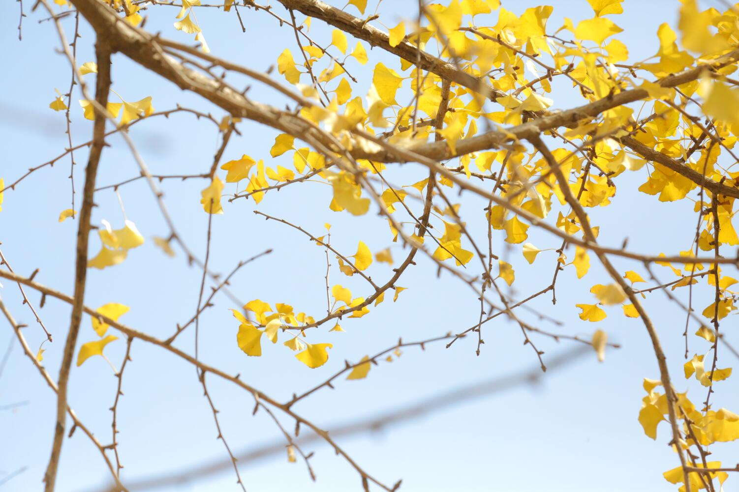 暖冬第一顿火锅,暖冬火锅