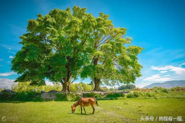 2018沪昆高铁350公里要几个小时 (沪昆高铁通车时间)