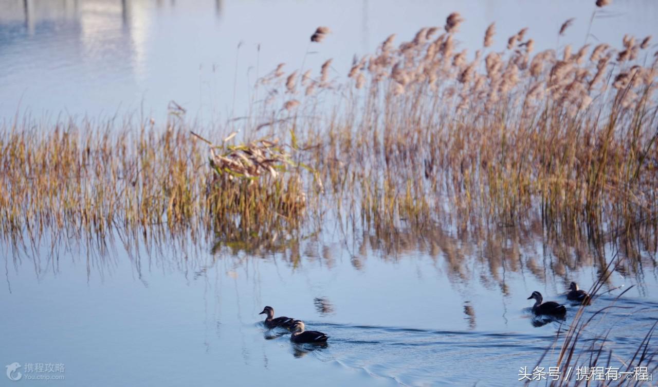 2018沪昆高铁350公里要几个小时 (沪昆高铁通车时间)